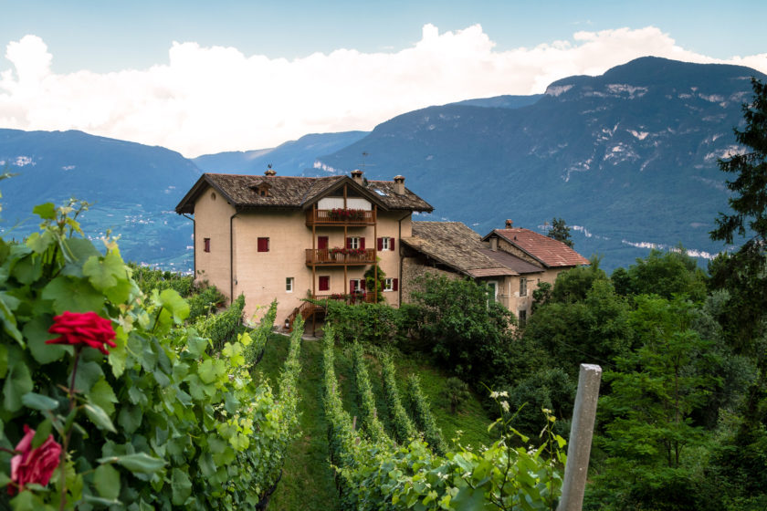 Corte Reale | Tourismusverein Südtiroler Unterland